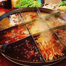 九肴涮 以良心為本，用美味與健康滋養每一刻